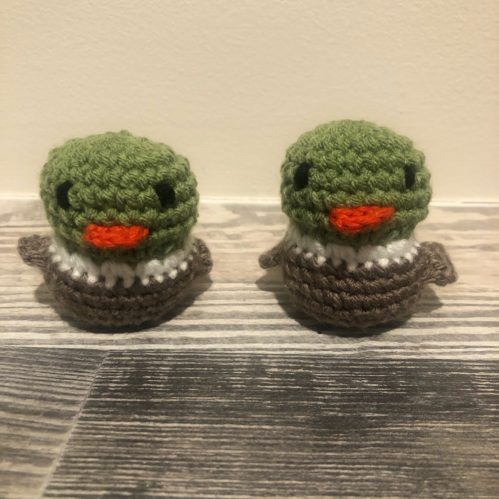 Mallard ducks